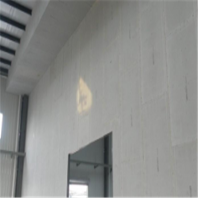 藁城宁波ALC板|EPS加气板隔墙与混凝土整浇联接的实验研讨